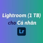 Mua Lightroom (1 TB) cho cá nhân bản quyền chính hãng