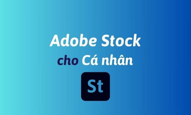 Mua Adobe Stock cho cá nhân bản quyền chính hãng