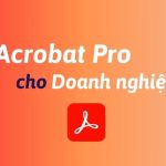 Mua Acrobat Pro cho doanh nghiệp bản quyền chính hãng