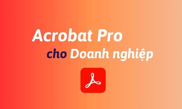 Mua Acrobat Pro cho doanh nghiệp bản quyền chính hãng