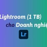 Mua Lightroom (1 TB) cho doanh nghiệp bản quyền chính hãng