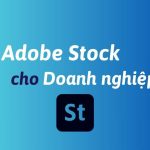 Mua Adobe Stock cho doanh nghiệp bản quyền chính hãng