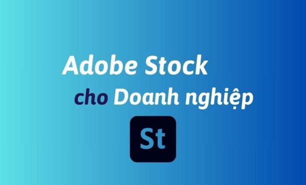 Mua Adobe Stock cho doanh nghiệp bản quyền chính hãng