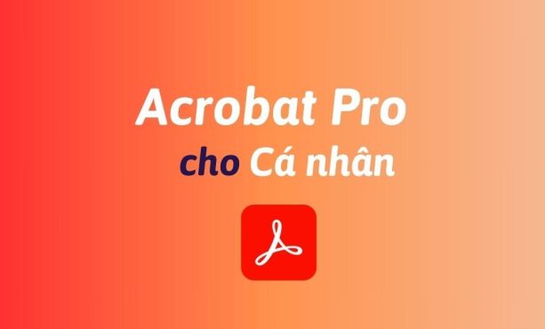 Mua Acrobat Pro cho cá nhân bản quyền chính hãng